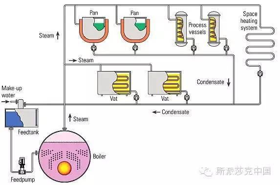 常见的蒸汽系统